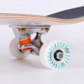 pol_pl_Deskorolka-Fish-Skateboards-Retro-II-Beige-7-75-29466_4.jpg