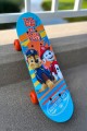 mini skateboard 17-Paw Patrol-marketing (2).jpg