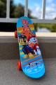 mini skateboard 17-Paw Patrol-marketing (4).jpg