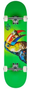 Deskorolka PUSH - Toucan Fade FP 8,25" - green