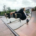 NKX_CARBON_SKATEBOARD_NKX_BRAIN_SAVER_GREY_8_6325.webp