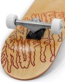 ENU4300 Enuff Three Tier Reloaded Complete Skateboard Natural Detail 1.jpg