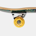 TSS-COM-0509_4.jpg