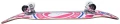 heart-supply-insignia-check-complete-skateboard-g1.webp