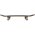 skateboard_skateboard_story_eagle_03_e77e.webp