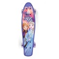 9953-fiszka-Frozen_2-BIG5.jpg