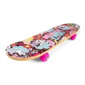 skateboard_Minnie_BIG1_9935.jpg